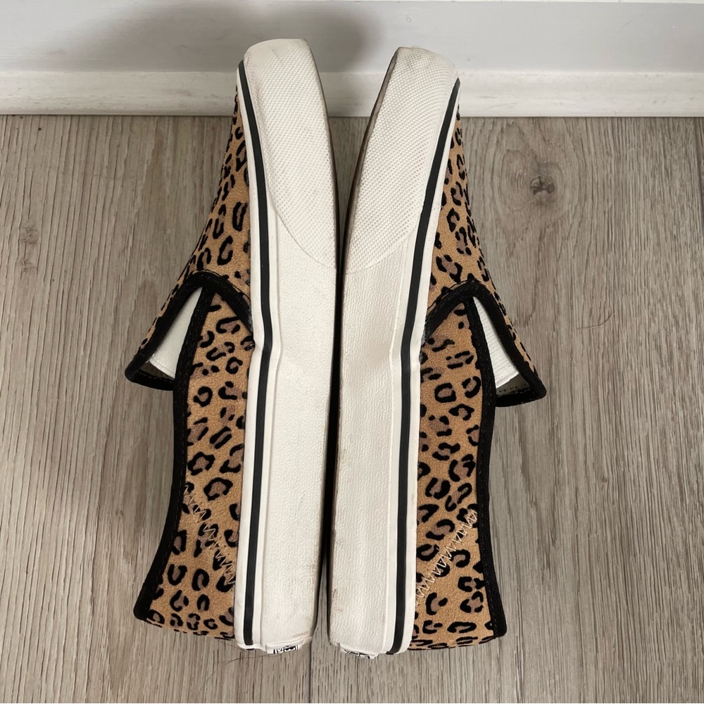 Vans - Picture 3 of 5